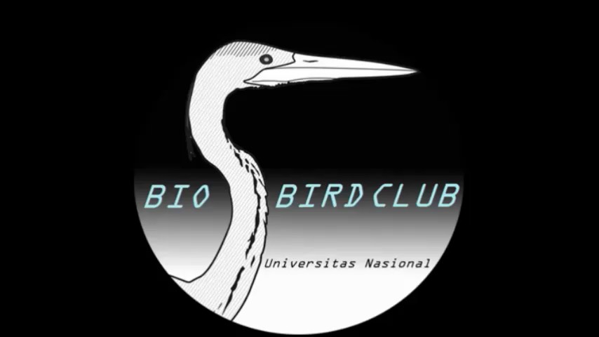 You are currently viewing Video Biological Bird Club (BBC)