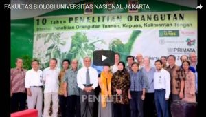 Read more about the article 10 Tahun Penelitian Orangutan