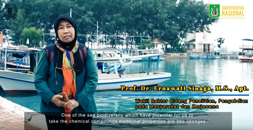 You are currently viewing Universitas Nasional – Fakultas Biologi adakan Penelitain Spon Laut kepulauan seribu